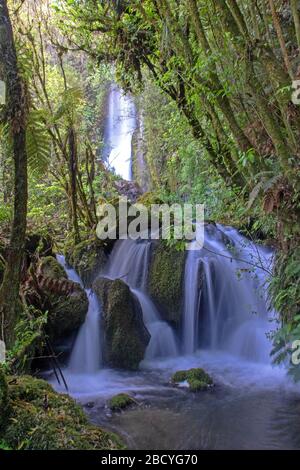 Wairere Falls am Wairoa Stream in der Nähe des Lake Tarawera Stockfoto