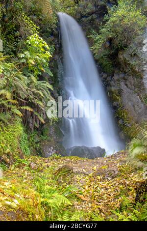 Wairere Falls am Wairoa Stream in der Nähe des Lake Tarawera Stockfoto