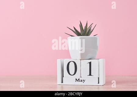 Holzblockkalender mit Datum 1. Mai und saftige Pflanze im Topf auf gelbem Hintergrund. Konzept des Arbeitstages Stockfoto