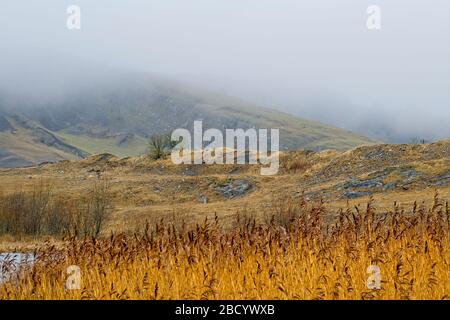 Kleiner See auf dem Moorgebiet von High Yorkshire Stockfoto