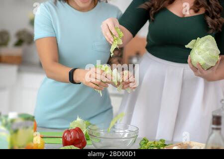 Weibliche Hände werfen Kohlblätter in einen Teller. Stockfoto