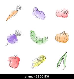 Set mit Aquarelldarstellung saftiges Gemüse isoliert auf weißem Hintergrund. Symbol für organische Lebensmittel. Gesundes und vegetarisches Essen. Stock Vektor
