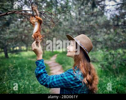 Junge Frau mit Hut mit langen Haaren füttern Eichhörnchen in einem Pinienwald Stockfoto