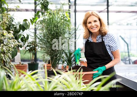 Eine Frau arbeitet in einer Kinderstube Stockfoto