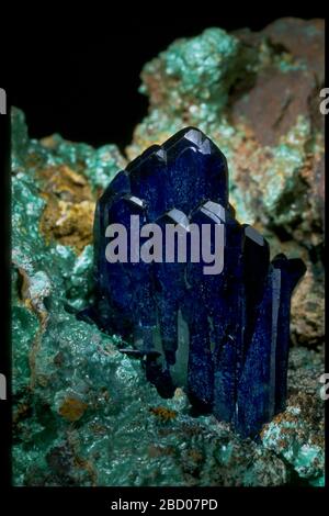 Foto von Azuritkristallen (104886) aus der nationalen Mineralsammlung Azurit Stockfoto