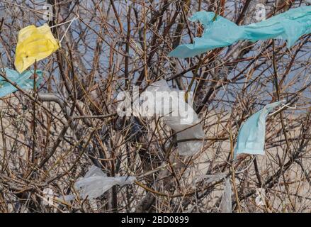 OBLAST ODESSA, UKRAINE - 04. APRIL 2020: Gesichtsmasken und Plastikschutt auf Ästen von Bäumen. Coronavirus (COVID-19) trägt zur Umweltverschmutzung bei, da ausrangierte Gesichtsmasken städtische Parks und Straßen der Stadt mit Plastikschutt und anderem Müll übertrumten. Ökologische Umweltverschmutzung Stockfoto