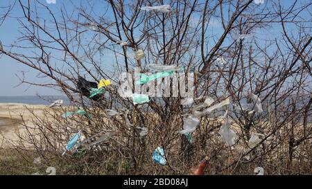 OBLAST ODESSA, UKRAINE - 04. APRIL 2020: Gesichtsmasken und Plastikschutt auf Ästen von Bäumen. Coronavirus (COVID-19) trägt zur Umweltverschmutzung bei, da ausrangierte Gesichtsmasken städtische Parks und Straßen der Stadt mit Plastikschutt und anderem Müll übertrumten. Ökologische Umweltverschmutzung Stockfoto