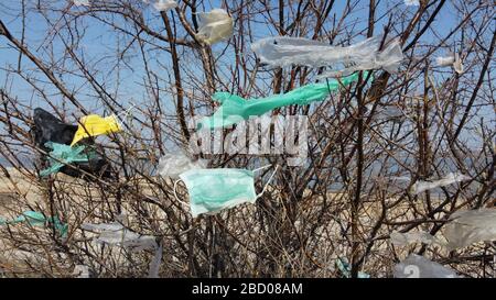 OBLAST ODESSA, UKRAINE - 04. APRIL 2020: Gesichtsmasken und Plastikschutt auf Ästen von Bäumen. Coronavirus (COVID-19) trägt zur Umweltverschmutzung bei, da ausrangierte Gesichtsmasken städtische Parks und Straßen der Stadt mit Plastikschutt und anderem Müll übertrumten. Ökologische Umweltverschmutzung Stockfoto