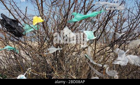 OBLAST ODESSA, UKRAINE - 04. APRIL 2020: Gesichtsmasken und Plastikschutt auf Ästen von Bäumen. Coronavirus (COVID-19) trägt zur Umweltverschmutzung bei, da ausrangierte Gesichtsmasken städtische Parks und Straßen der Stadt mit Plastikschutt und anderem Müll übertrumten. Ökologische Umweltverschmutzung Stockfoto