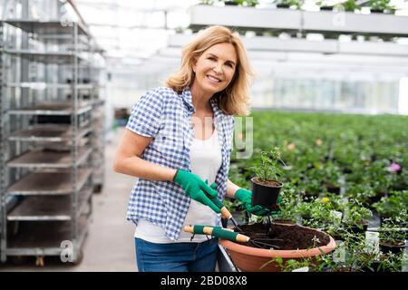 Eine Frau arbeitet in einer Kinderstube Stockfoto