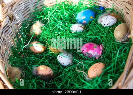 Färben Sie Ostereier im Strohkorb mit grünem Gras im Inneren des sonnigen Frühlingstages. Stockfoto