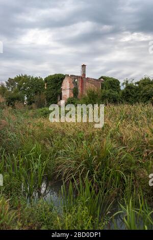 Verlassene, zerstörte und überwucherte Gebäude, über Case Rosse, San Canzian d'Isonzo, Friuli Julisch Venetien, Italien Stockfoto