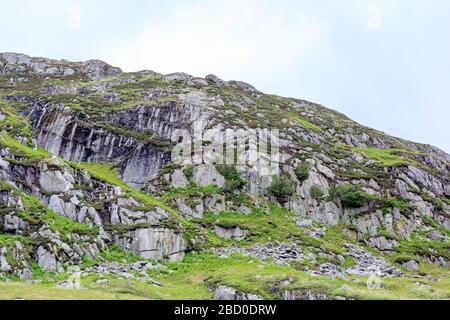 Gras überstieg Rocky Outcrop in Galloway Schottland Stockfoto