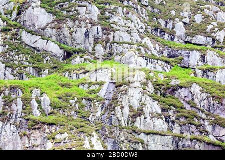 Gras überstieg die Felswand von Rocky in Galloway, Schottland Stockfoto