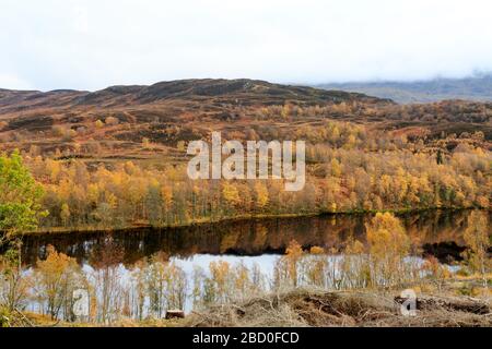 Herbstblick über den Fluss Tummel bei Dunalastair, Pitlochry Stockfoto