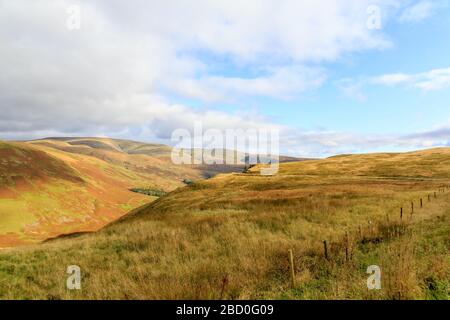 Blick auf die Herbsthänge nördlich der schottischen Stadt Moffat Dumfries und Galloway Scotland Stockfoto