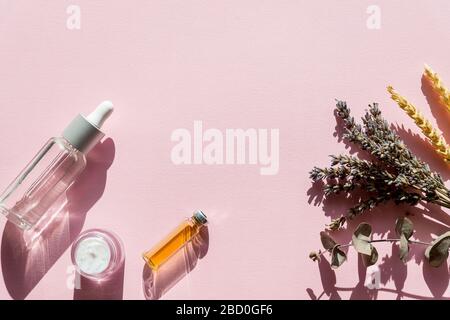 Flasche ätherisches Öl mit frischem Kräutersalbei, Lavander.Flat lag auf rosa Hintergrund.gesundes Öl.das Konzept einer gesunden vegetarischen Ernährung, Entgiftung Stockfoto