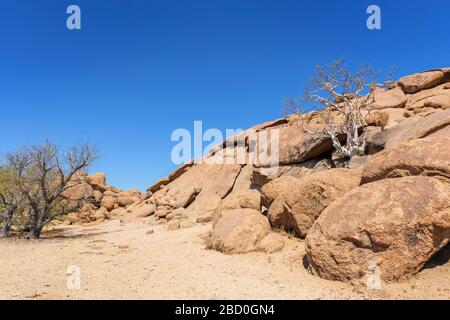 Vegetation und felsige Formen in Wüstenlandschaft, Damaraland, Namibia. Stockfoto