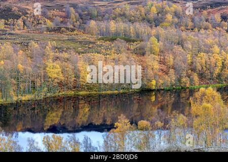 Herbstblick über den Fluss Tummel bei Dunalastair, Pitlochry Stockfoto