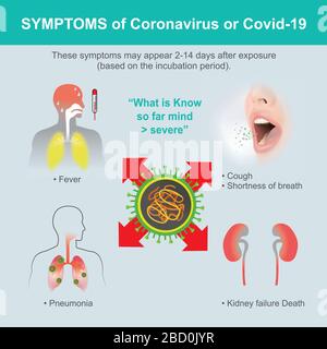 Symptome des Coronavirus oder COVID-19. Illustration Gesundheitswesen und Medizin. Stock Vektor