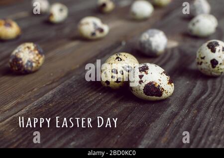 Frohe Ostern.Grußkarte.kleine Quall Eier auf einem rustikalen Holzhintergrund.Banner mit Feiertagsgrüße.Zero Waste.Vintage.No plastic.Texture.minimali Stockfoto
