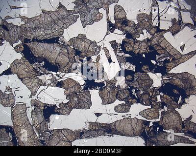 Los Angeles. 22. April 201953329211 Los Angeles Stockfoto