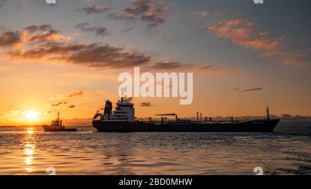 Ternuezen Niederlande 2. April 2020, Tanker für Öl- und Gaschemikalien am Hafen von Terneuzen bei Sonnenuntergang auf der Schelde Stockfoto