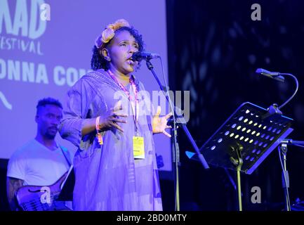 Eine Veränderung wird auf dem WOMAD Festival, dem Charton Park, Großbritannien, auftreten. Juli 2019 Stockfoto