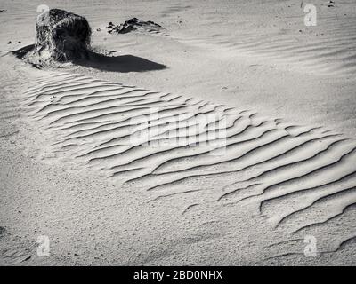 Schwarz-Weiß-Bild eines alten Blocks mit Algen- und Driftwegen im Sand an einem Strand Stockfoto