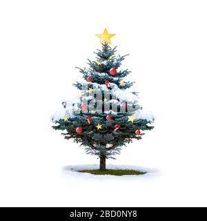 Isolierte grüne weihnachts-kiefer mit Schneedecke, dekoriert mit goldenen Sternen, roten Kugeln und rotem Süßigkeiten-Rohr auf weißem Hintergrund. Stockfoto