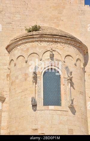 Trani, Italien-April 2019: Nahaufnahme eines der Seitenfenster der Kathedrale Basilika des Heiligen Nikolaus des Pilgers in Trani; ein gefürchtes Pilgerziel Stockfoto