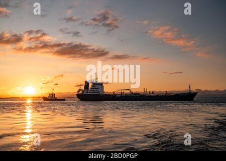 Ternuezen Niederlande 2. April 2020, Tanker für Öl- und Gaschemikalien am Hafen von Terneuzen bei Sonnenuntergang auf der Schelde Stockfoto