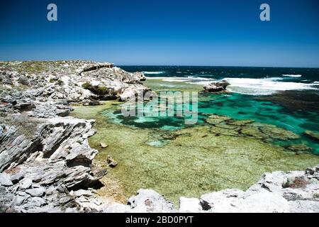 Schöne Farben an der Küste der Insel Rottnest, kristallklares Wasser am Küstenriff. Stockfoto