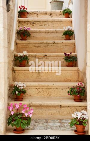 Nahaufnahme der Steintreppe mit Topf Blumen auf jeder Stufe; historische Straße der Stadt Locorotondo, in der Nähe von Bari; bekannt für seine Weine und kreisförmigen in Stockfoto