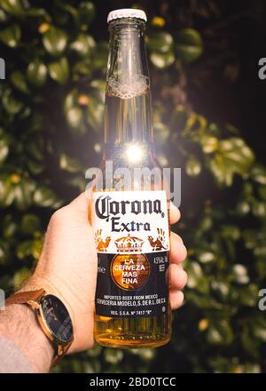 Eine Flasche Corona Bier in einer Hand, die im Garten gehalten wird Stockfoto