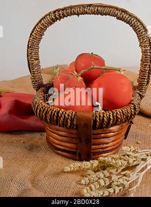 Frische Tomaten im Korbkorb mit getrocknetem Salbei auf der Seite. Stock-Foto. Stockfoto