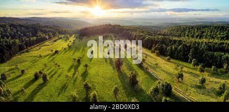 Luftlandschaftspanorama nach Sonnenaufgang: Herrliche Landschaft mit der Sonne, Bäume auf Wiesen, die lange Schatten werfen, umgeben von Wald Stockfoto