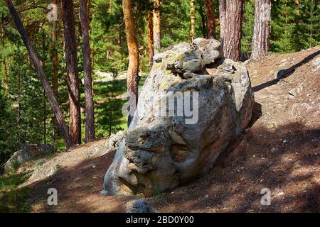 Große Felsen im Kiefernwald. Nationalpark. Stockfoto