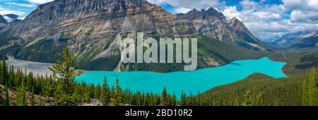 Panorama des Peyto Lake auf dem Icefields Parkway im Banff National Park, Alberta, Rocky Mountains, Kanada Stockfoto