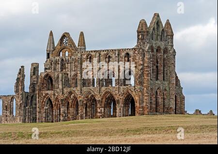Überreste einer antiken englischen gothischen Abteiruine mit Fenstern Stockfoto
