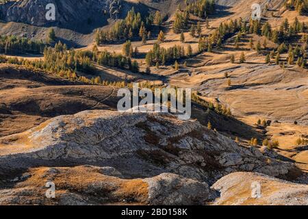 Frankreich - Provence - Haut Verdon - Herbst am Lac Allos Stockfoto