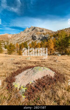 Frankreich - Provence - Haut Verdon - Lac Allos in Herbstversion Lac Allos Stockfoto