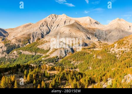 Frankreich - Provence - Haut Verdon - Mont-Pelat in Herbstversion. Stockfoto