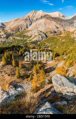 Frankreich - Provence - Haut Verdon - Mont-Pelat in Herbstversion. Stockfoto