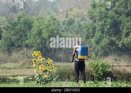 Landwirtschaft in indien Stockfoto