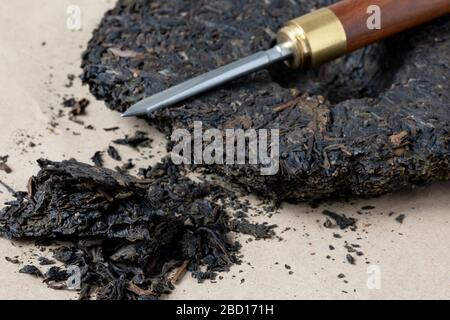 Gepresster lila pu-erh Tee Kuchen und Messer für die Trink Zeremonie. Traditionelles chinesisches Getränk und beliebtes antioxidatives Getränk aus China. Stockfoto