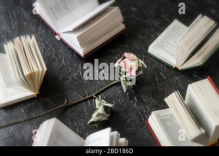 Die verblendete Trockenblume stieg auf dunklem Hintergrund, einschließlich offener Bücher, selektiver Fokussierung, verschwommenem Hintergrund, abstraktem Konzept Stockfoto