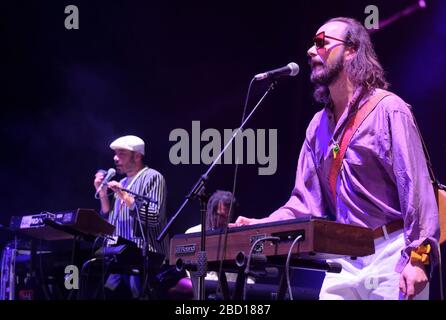 ARP Frique & Family trat auf dem WOMAD Festival in Charlton Park, Großbritannien, auf. Juli 2019 Stockfoto