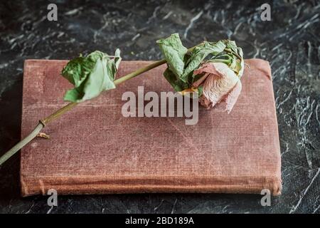 Verblendete trockene Blume stieg auf einem alten Buch, selektiver Fokus, abstrakter Vintage-Hintergrund Stockfoto