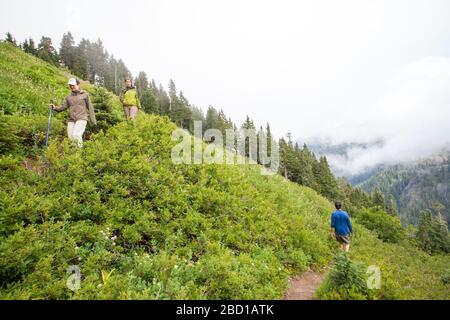 Zwei weibliche und ein männlicher Wanderer ohne Rucksäcke wandern auf einem Serpentweg zwischen Heidelbeerbüschen am Berghang entlang. Stockfoto